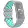 Mobigear Sport Plus Buckle Siliconen Fitbit Charge 4 Bandje Gespsluiting - Blauw / Grijs