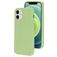 Mobiparts iPhone 12 Siliconen Hoesje Backcover - Pistache Green
