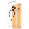CARE by PanzerGlass Flagship iPhone 17 Pro Max MagSafe Hoesje Hardcase Backcover - Transparant / Zwart