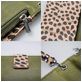 Mobilize Gelly Zipper iPhone 11 Pro Hoesje Uitneembare 2in1 Clutch - Leopard