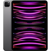 iPad Pro 11 inch (2022) hoesjes