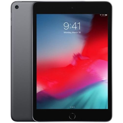 iPad Mini 5 (2019) (7,9 inch)