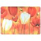 Mobigear Painting MacBook Pro 15 Inch (2016-2019) Hoes Hardshell Laptopcover MacBook Case - Model 33 - Model A1707 / A1990