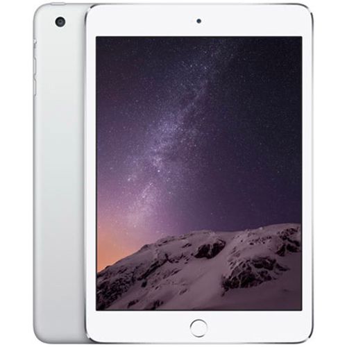 iPad Mini 3 (2014) (7,9 inch)